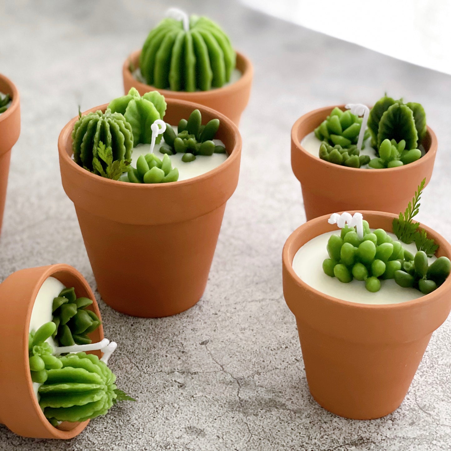 Succulent Candle Favors Cactus Candle Soy Wax Candles Plant Scented Candles Christmas Mini Terracotta Candle Gift Wedding Gifts Home Decor Wedding Favors