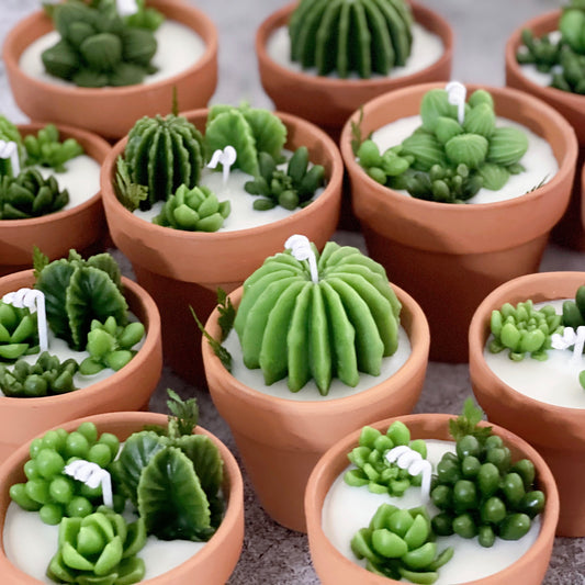 Succulent Candle Favors Cactus Candle Soy Wax Candles Plant Scented Candles Christmas Mini Terracotta Candle Gift Wedding Gifts Home Decor Wedding Favors