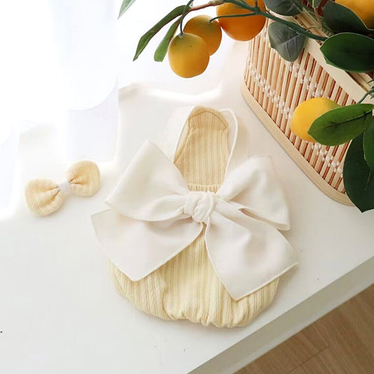 Summer Cute Pet Clothes for Dogs and Cats