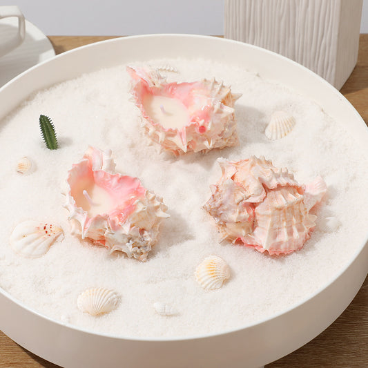 Conch Shell Scented Candle,Gift for Her,Mom Gifts,Sea Beach Party Supply,Handmade Scented Candle,Soy Wax Candle Gift,Birthday Party Favor Gift for Guest,Wedding Favor