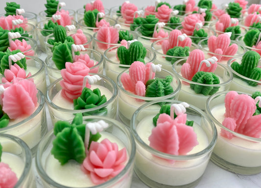 Bulk Succulent Candle Gift For Wedding/Surprise Gift Ideas for Her/Cactus Candle Gift for Guest/Party Favors