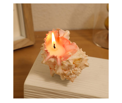 Conch Shell Scented Candle,Gift for Her,Mom Gifts,Sea Beach Party Supply,Handmade Scented Candle,Soy Wax Candle Gift,Birthday Party Favor Gift for Guest,Wedding Favor