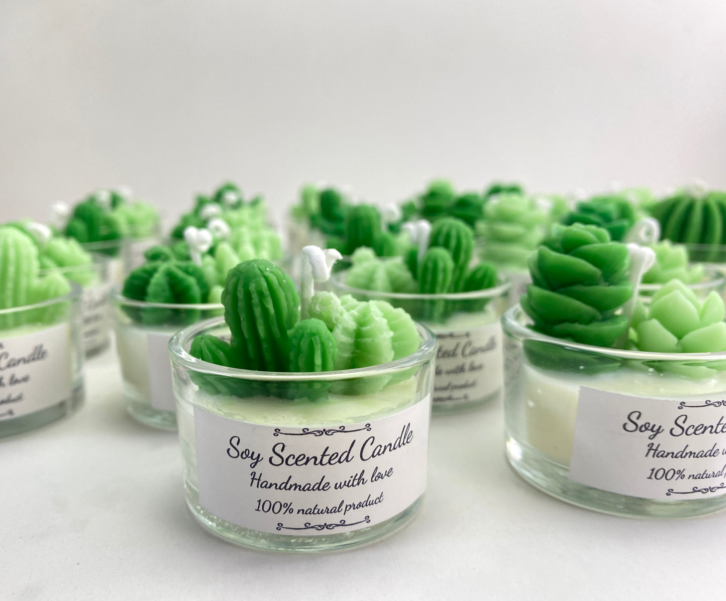 CUSTOMIZED Mini Succulent&Cactus Candle Gift