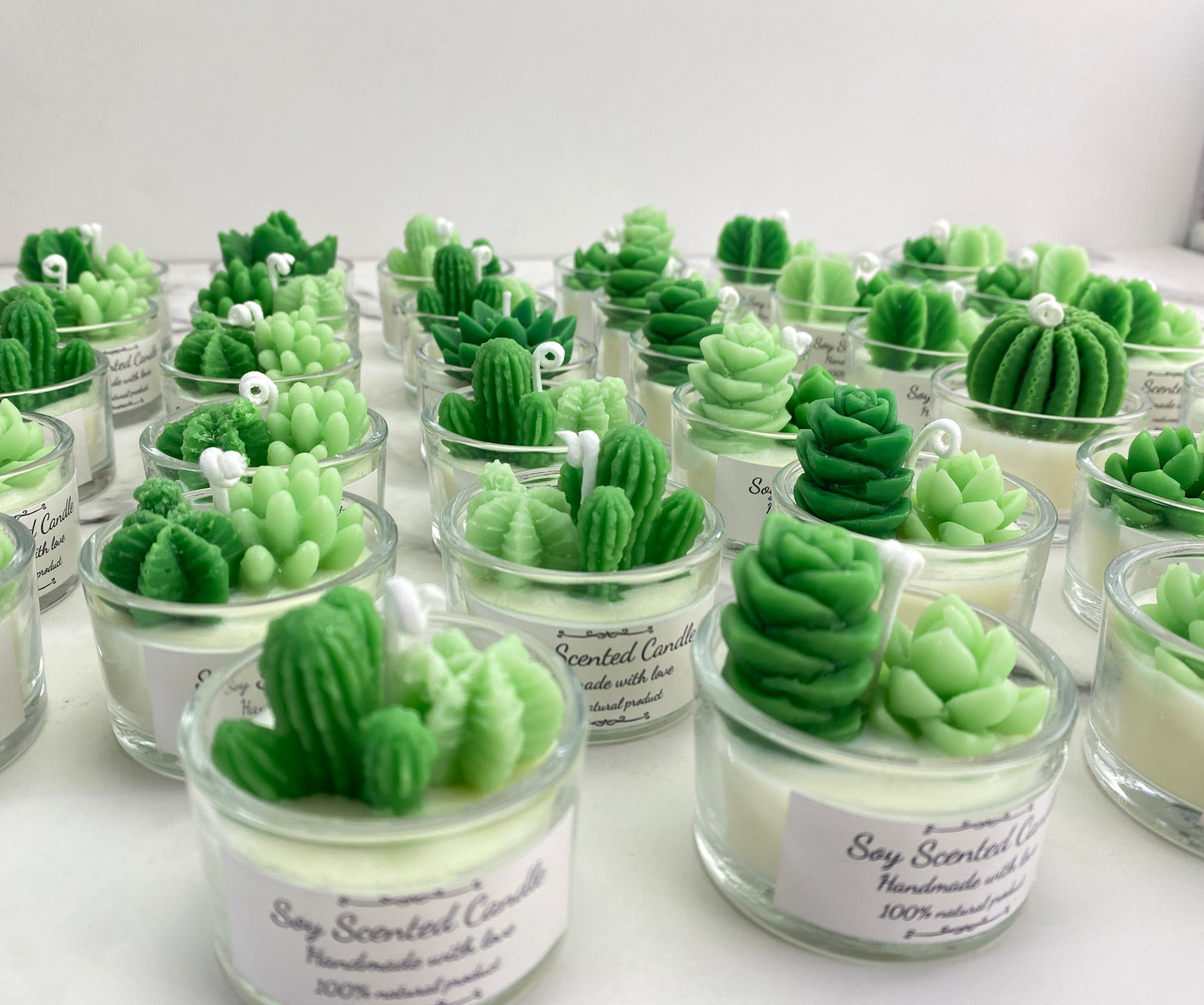 CUSTOMIZED Mini Succulent&Cactus Candle Gift
