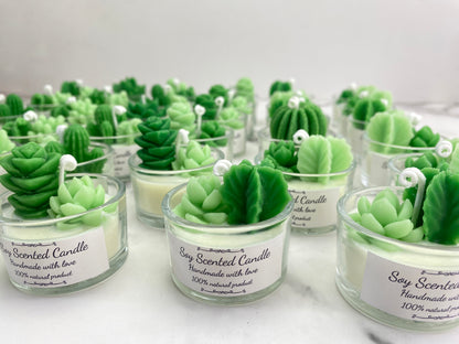 CUSTOMIZED Mini Succulent&Cactus Candle Gift