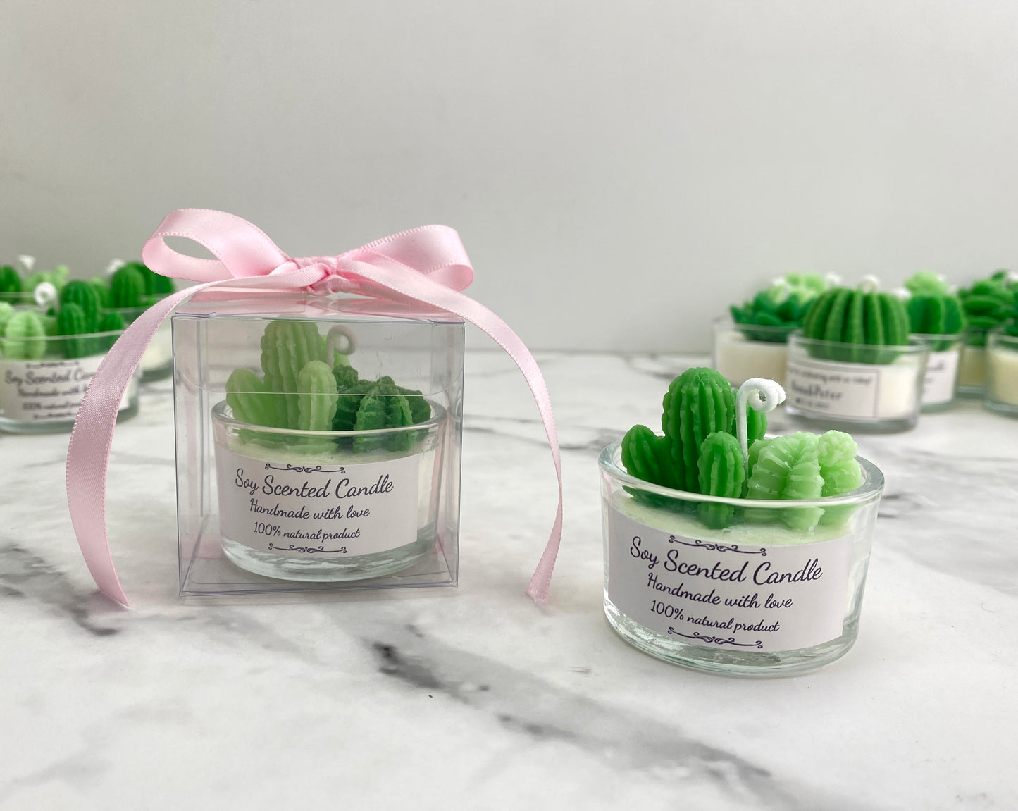 CUSTOMIZED Mini Succulent&Cactus Candle Gift