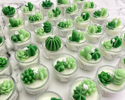 CUSTOMIZED Mini Succulent&Cactus Candle Gift