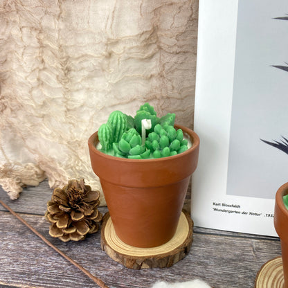 Succulent&Cactus Scented Candle Favors,Soy Wax Plant Scented Candles,Christmas Terracotta Candle Gift