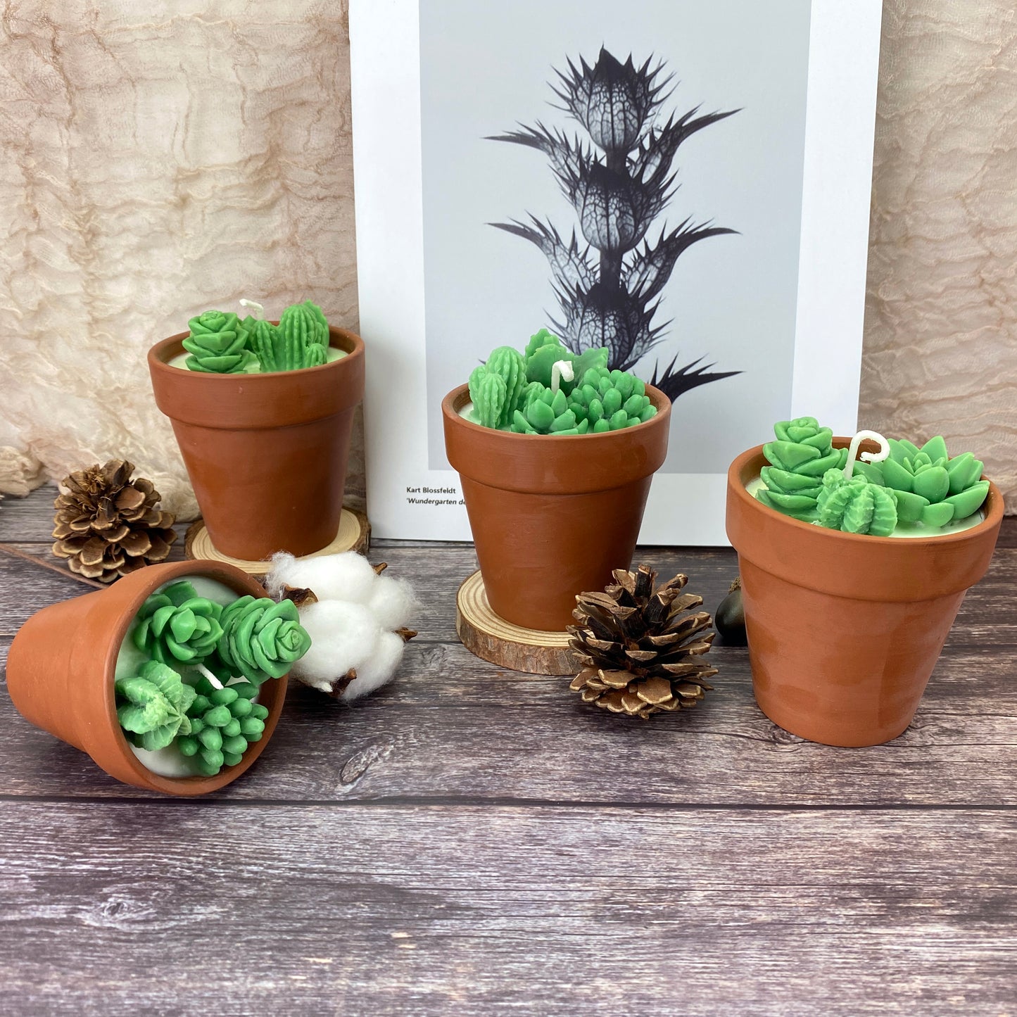Succulent&Cactus Scented Candle Favors,Soy Wax Plant Scented Candles,Christmas Terracotta Candle Gift