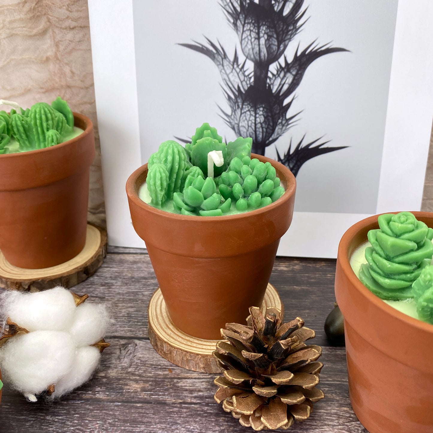Succulent&Cactus Scented Candle Favors,Soy Wax Plant Scented Candles,Christmas Terracotta Candle Gift
