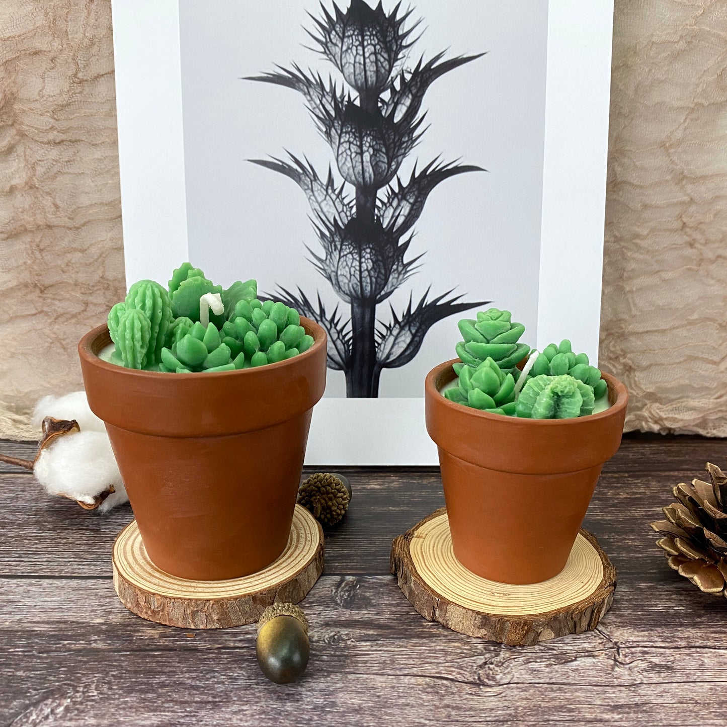 Succulent&Cactus Scented Candle Favors,Soy Wax Plant Scented Candles,Christmas Terracotta Candle Gift