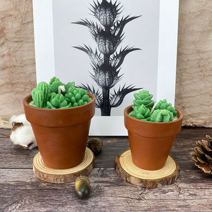 Succulent&Cactus Scented Candle Favors,Soy Wax Plant Scented Candles,Christmas Terracotta Candle Gift