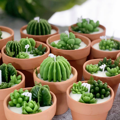Succulent Candle Favors Cactus Candle Soy Wax Candles Plant Scented Candles Christmas Mini Terracotta Candle Gift Wedding Gifts Home Decor Wedding Favors